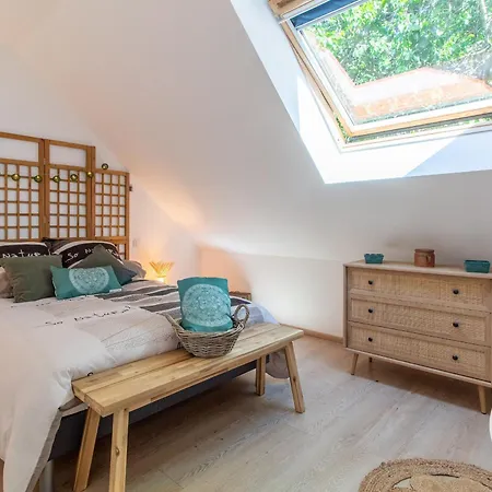 Ferienhaus Accueillant Avec Piscine Chauffee A Partager, Pres D'angers, Ideal Pour En Nature - Fr-1-622-44